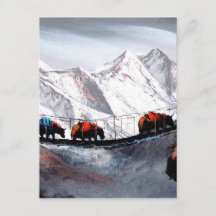 Kudde bergjaks Himalaya