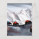 Kudde bergjaks Himalaya Briefkaart (Voorkant)