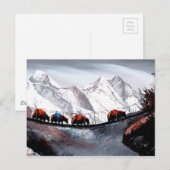 Kudde bergjaks Himalaya Briefkaart (Voorkant / Achterkant)