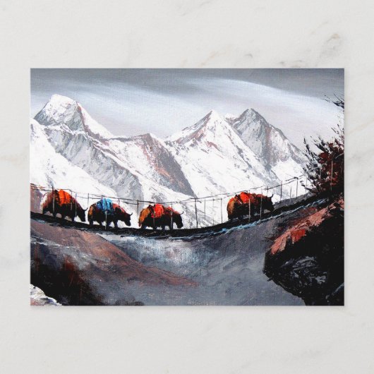 Kudde bergjaks Himalaya Briefkaart (Voorkant)