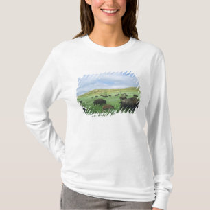 Kudde bizons graast op prairiegras bij Theodore T-shirt