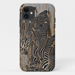 Kudde Burchell's zebra's drinkend uit Mara Case-Mate iPhone Case