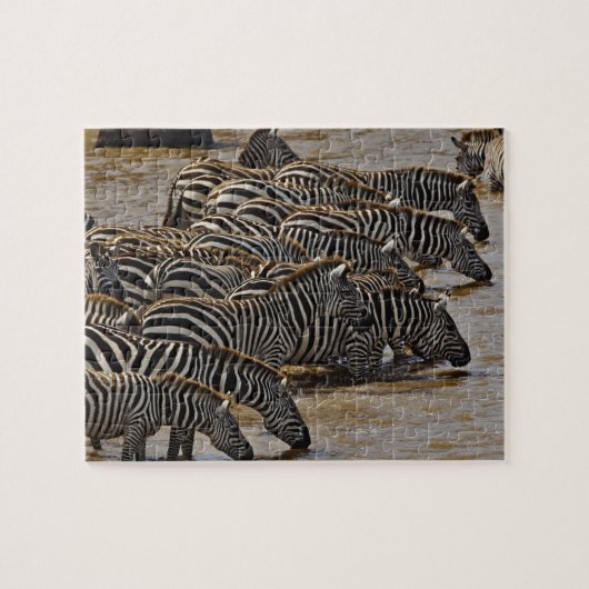 Kudde Burchell's zebra's drinkend uit Mara Legpuzzel (Horizontaal)