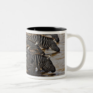 Kudde Burchell's zebra's drinkend uit Mara Tweekleurige Koffiemok