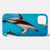 Kudde donkere dolfijnen voor de kust van Kaikoura Case-Mate iPhone Case (Achterkant (horizontaal))