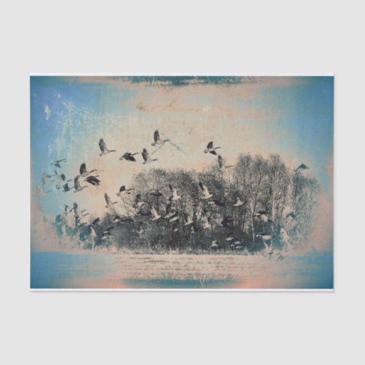 kudde ganzenblauw Sepia  Antiek textuur Tissuepapier (Voorkant)