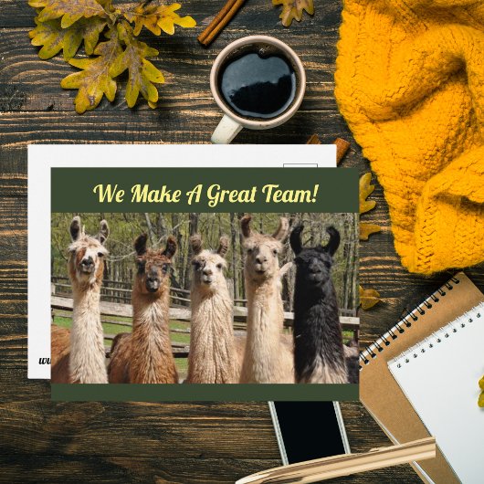 Kudde Gelukkige Llama's Samen Briefkaart