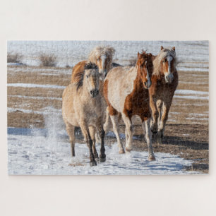 Kudde gemengde paarden die door de sneeuw rennen legpuzzel