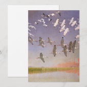 Kudde Ibissen Vliegend Over Wetlands, Oude Vogels (Voorkant / Achterkant)