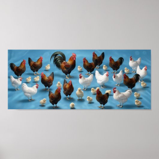Kudde kuikens en hanen poster (Voorkant)