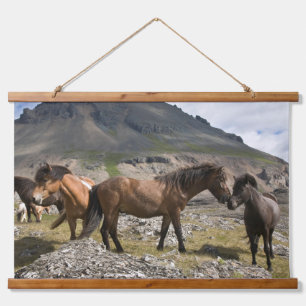 Kudde paarden bij Hofn, IJsland Hangend Wandkleed