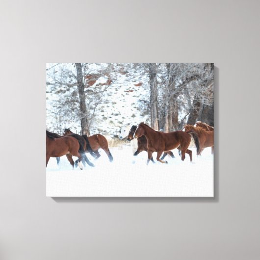 Kudde paarden rennend in de sneeuw canvas afdruk (Voorkant)