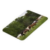 Kudde paarden, Tennessee Magneet (Linkerzijde)