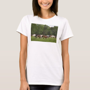 Kudde paarden, Tennessee T-shirt