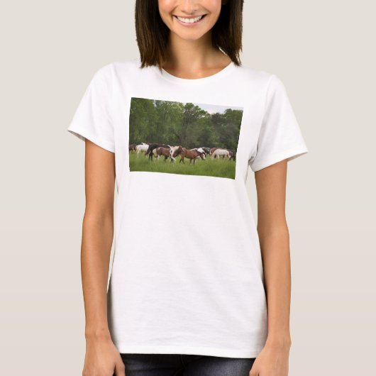 Kudde paarden, Tennessee T-shirt (Voorkant)