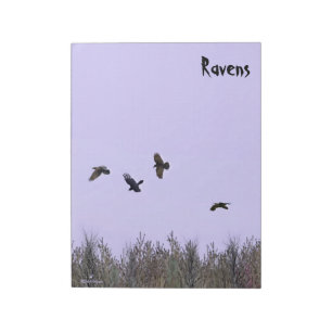 kudde ravens notitieblok