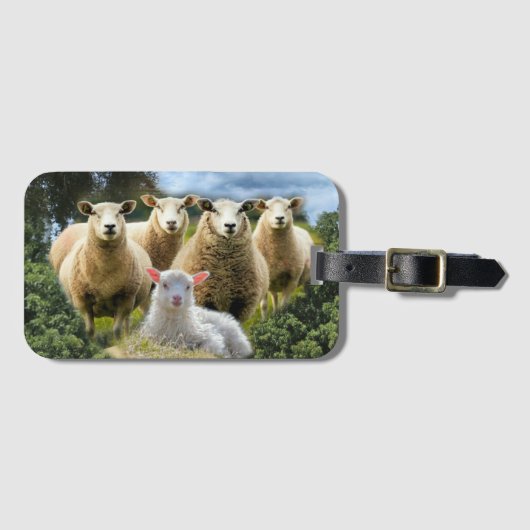 kudde schapen van baby-lammeren bagagelabel (Voorkant (horizontaal))