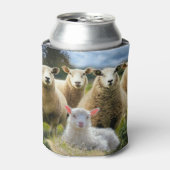 kudde schapen van baby-lammeren blikjeskoeler (Blikje Voorkant)