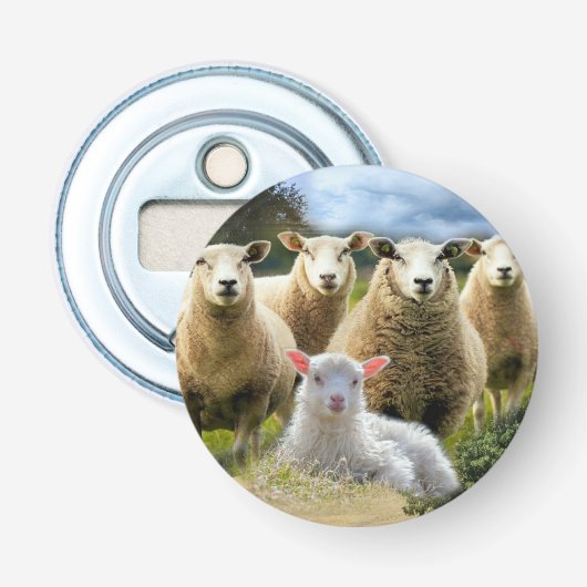 kudde schapen van baby-lammeren button flesopener (Voorkant)