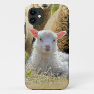 kudde schapen van baby-lammeren Case-Mate iPhone case