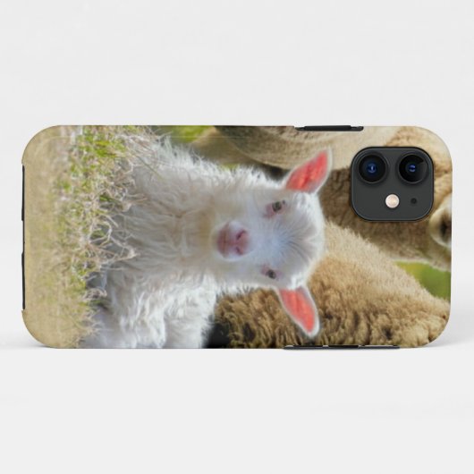kudde schapen van baby-lammeren Case-Mate iPhone case (Achterkant (horizontaal))