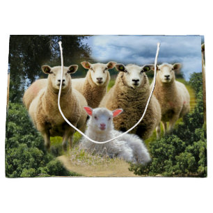 kudde schapen van baby-lammeren groot cadeauzakje