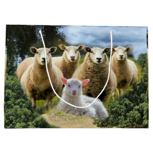 kudde schapen van baby-lammeren groot cadeauzakje (Achterkant)