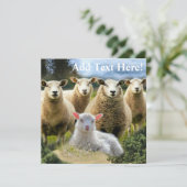 kudde schapen van baby-lammeren kaart (Staand voorkant)