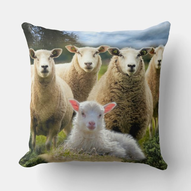 kudde schapen van baby-lammeren kussen (Voorkant)