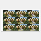 kudde schapen van baby-lammeren labels (Vel)