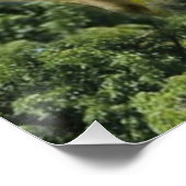 kudde schapen van baby-lammeren perfect poster (Hoek)