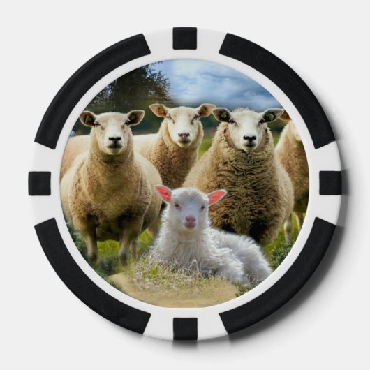 kudde schapen van baby-lammeren poker chips (Voorkant)