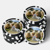 kudde schapen van baby-lammeren poker chips (Opstapeling)