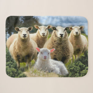 kudde schapen van baby-lammeren sherpa deken