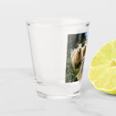 kudde schapen van baby-lammeren shot glas (Links)