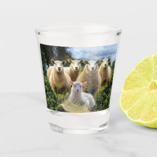 kudde schapen van baby-lammeren shot glas