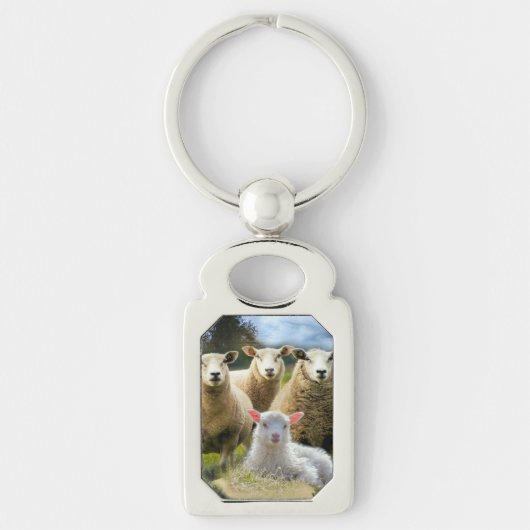 kudde schapen van baby-lammeren sleutelhanger (Voorkant)