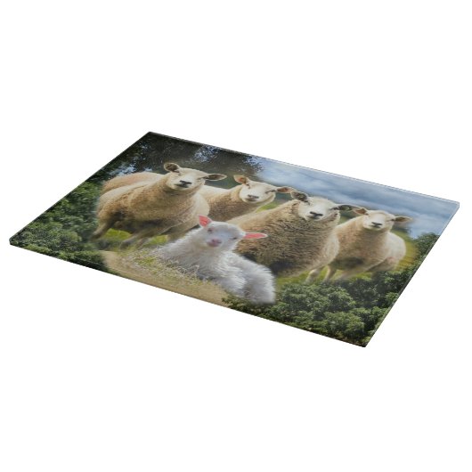 kudde schapen van baby-lammeren snijplank (Hoek)