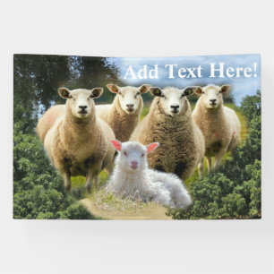 kudde schapen van baby-lammeren spandoek