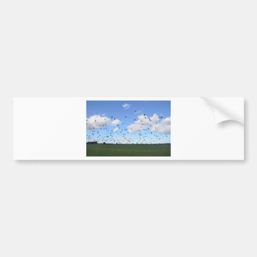 kudde van duiven bumpersticker (Voorkant)