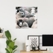 kudde van kruidenierswaren poster (Thuiskantoor)