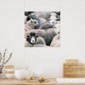 kudde van kruidenierswaren poster (Keuken)