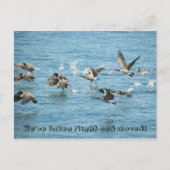 Kudde vliegende ganzen Bewegende aankondiging (Voorkant)