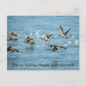 Kudde vliegende ganzen Bewegende aankondiging (Voorkant)