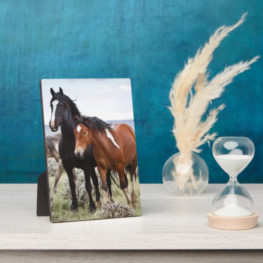 Kudde wilde paarden fotoplaat (Zijkant)