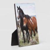 Kudde wilde paarden fotoplaat (Zijkant)
