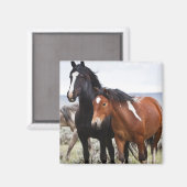 Kudde wilde paarden magneet (Voorkant / Achterkant)