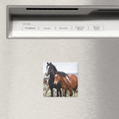 Kudde wilde paarden magneet (Insitu (Vaatwasser))