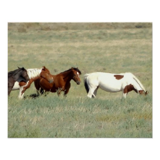 Kudde wilde paarden perfect poster (Voorkant)
