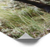 Kudde Wilde Paarden Poster (Hoek)